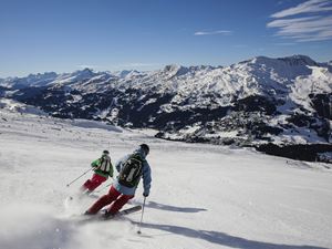 Domaines skiables